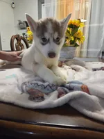 processed/4d0fc4be-0fd3-4c09-b2ae-7c0e9e8a03c6/listing/411b83a9-6085-4c1f-b075-0e227623f0c1/5d7a1ead-9b49-4a34-9674-a920441ec748