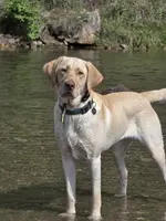 processed/4d2956e0-ddbb-4440-b309-71e33662e017/facility/0be2825e-0bdc-47fd-aa2e-9a28b1d28236