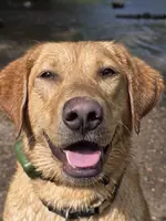 processed/4d2956e0-ddbb-4440-b309-71e33662e017/facility/0f25f6a8-9c28-48ba-af4a-206aa6659cf6