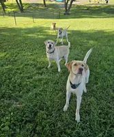 processed/4d2956e0-ddbb-4440-b309-71e33662e017/facility/440ea3ed-f38a-476d-86da-4dd2bafa9dd2