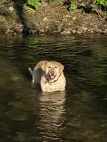 processed/4d2956e0-ddbb-4440-b309-71e33662e017/facility/6b0464a7-4302-44bc-8c5f-1b28f44b254b