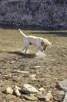 processed/4d2956e0-ddbb-4440-b309-71e33662e017/facility/8578a9a9-480e-4ea2-958c-cab2e88b6a6d