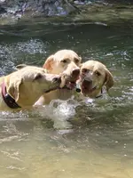 processed/4d2956e0-ddbb-4440-b309-71e33662e017/facility/85a4a2c3-865e-424e-a49d-a89b59648448