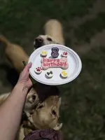 processed/4d2956e0-ddbb-4440-b309-71e33662e017/facility/b7458346-6302-42f1-a74b-a6f162dbbef7