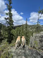 processed/4d2956e0-ddbb-4440-b309-71e33662e017/facility/cc3cf8a7-6faa-4473-b92f-559dcd35be58