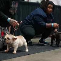 processed/4d436a98-67a1-48bc-9e35-a99764e5ab52/facility/92e06ca4-ec8b-4400-9e33-41ada69d04c9