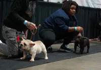 processed/4d436a98-67a1-48bc-9e35-a99764e5ab52/facility/92e06ca4-ec8b-4400-9e33-41ada69d04c9