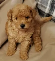 processed/4d4a1c93-861f-4c7e-a81b-522602af3efd/facility/fe527e21-0a72-4e7e-be97-231732866e4c