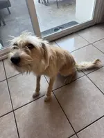 processed/4d5142de-35d6-48d1-971a-8eb58f52523c/listing/148ed6fa-0a72-4980-911d-8d81794c1483/1bc12de6-f284-4294-b0e2-ec207c79b4a5