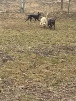 processed/4d5142de-35d6-48d1-971a-8eb58f52523c/listing/148ed6fa-0a72-4980-911d-8d81794c1483/37d0f841-b174-4b81-aad9-943851a1842d