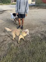 processed/4d5142de-35d6-48d1-971a-8eb58f52523c/listing/148ed6fa-0a72-4980-911d-8d81794c1483/39affa30-3260-474e-aee8-560cb97f512b