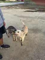 processed/4d5142de-35d6-48d1-971a-8eb58f52523c/listing/148ed6fa-0a72-4980-911d-8d81794c1483/45f9e409-d194-40d2-ae3e-599ad51c12c6