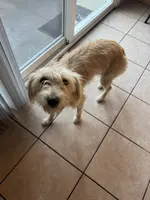 processed/4d5142de-35d6-48d1-971a-8eb58f52523c/listing/148ed6fa-0a72-4980-911d-8d81794c1483/5a6b528a-116b-4697-a7d8-41197a473402