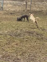 processed/4d5142de-35d6-48d1-971a-8eb58f52523c/listing/148ed6fa-0a72-4980-911d-8d81794c1483/760ca902-86bb-41f4-94b0-95aeaf24bf65