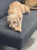 processed/4d5142de-35d6-48d1-971a-8eb58f52523c/listing/148ed6fa-0a72-4980-911d-8d81794c1483/9a92ab4f-0b36-4b3f-9df7-6737fd3d6ecc