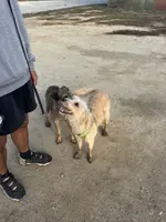 processed/4d5142de-35d6-48d1-971a-8eb58f52523c/listing/148ed6fa-0a72-4980-911d-8d81794c1483/f186d9da-74ea-4b73-9f0b-3586ede952a4