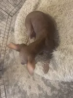 processed/4d5142de-35d6-48d1-971a-8eb58f52523c/listing/3a59bb00-9d0e-4122-8131-90b60cd9b1a6/25cc5e77-dc1f-43b9-a0a8-d049880e2633