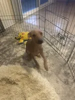 processed/4d5142de-35d6-48d1-971a-8eb58f52523c/listing/3a59bb00-9d0e-4122-8131-90b60cd9b1a6/457304ed-665f-4cd5-8b28-f753da649aad