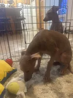 processed/4d5142de-35d6-48d1-971a-8eb58f52523c/listing/3a59bb00-9d0e-4122-8131-90b60cd9b1a6/714f3b5c-99eb-4b42-aa8d-b8aa851dcdc6