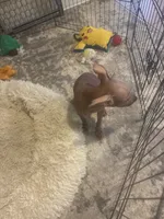 processed/4d5142de-35d6-48d1-971a-8eb58f52523c/listing/3a59bb00-9d0e-4122-8131-90b60cd9b1a6/821fa4b0-c5d7-4f5b-8c3e-8987d35e6e94