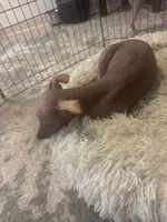 processed/4d5142de-35d6-48d1-971a-8eb58f52523c/listing/3a59bb00-9d0e-4122-8131-90b60cd9b1a6/c6efbb0f-4fa9-46ff-adfa-dfc6971973ff