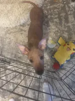 processed/4d5142de-35d6-48d1-971a-8eb58f52523c/listing/3a59bb00-9d0e-4122-8131-90b60cd9b1a6/c9087370-fe9b-4e1c-89a4-3c1390f2e2d6