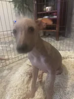 processed/4d5142de-35d6-48d1-971a-8eb58f52523c/listing/3a59bb00-9d0e-4122-8131-90b60cd9b1a6/d7ad4afa-49f4-42d9-8e86-719fa0e0e11c