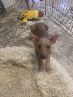 processed/4d5142de-35d6-48d1-971a-8eb58f52523c/listing/3a59bb00-9d0e-4122-8131-90b60cd9b1a6/e301448f-18bd-4a7a-bd9d-cb555b7ff14e