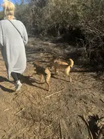 processed/4d5142de-35d6-48d1-971a-8eb58f52523c/listing/afd375e3-9adb-45fe-94f7-545d4206d1af/18a81ae9-138e-4f78-ba45-250343cbd48e