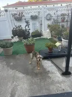 processed/4d5142de-35d6-48d1-971a-8eb58f52523c/listing/afd375e3-9adb-45fe-94f7-545d4206d1af/5e076545-b19c-4b97-aea1-8e5950c86299