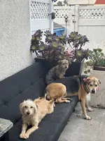 processed/4d5142de-35d6-48d1-971a-8eb58f52523c/listing/afd375e3-9adb-45fe-94f7-545d4206d1af/6342fa0d-a921-40d1-8203-8662e58db4ef