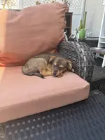 processed/4d5142de-35d6-48d1-971a-8eb58f52523c/listing/afd375e3-9adb-45fe-94f7-545d4206d1af/945b3ffb-e885-4b28-ac49-ba598580ab87