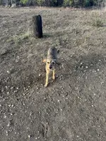 processed/4d5142de-35d6-48d1-971a-8eb58f52523c/listing/afd375e3-9adb-45fe-94f7-545d4206d1af/ae87be38-8f5f-4c63-b5af-38be3fcbe6fd