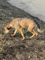 processed/4d5142de-35d6-48d1-971a-8eb58f52523c/listing/afd375e3-9adb-45fe-94f7-545d4206d1af/b6410da1-9467-4992-a983-898a9a3f81bd