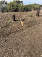 processed/4d5142de-35d6-48d1-971a-8eb58f52523c/listing/afd375e3-9adb-45fe-94f7-545d4206d1af/b6f0a74d-6f68-430c-9d4e-b42c1db3e6b5