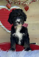 processed/4d55bf63-585c-47a2-8ece-f7503c1b9a48/listing/08b6c2ef-5b14-4ae5-b398-184af85bb59b/01785078-bf14-4bee-b41a-f244f1bf12f7