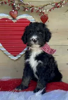 processed/4d55bf63-585c-47a2-8ece-f7503c1b9a48/listing/08b6c2ef-5b14-4ae5-b398-184af85bb59b/717d094c-063c-495f-8efa-e1cc225ed7b3