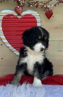 processed/4d55bf63-585c-47a2-8ece-f7503c1b9a48/listing/48e72b80-1874-4b8b-b383-db72632c972a/04d7819b-2e13-4da7-b72e-e1e68051f02f