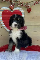 processed/4d55bf63-585c-47a2-8ece-f7503c1b9a48/listing/48e72b80-1874-4b8b-b383-db72632c972a/5b47ab3e-f09e-4f93-94fe-2a92ce01e2e7