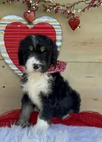 processed/4d55bf63-585c-47a2-8ece-f7503c1b9a48/listing/48e72b80-1874-4b8b-b383-db72632c972a/9db4215d-7ccf-4727-9905-fcdbf088ecc0