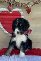 processed/4d55bf63-585c-47a2-8ece-f7503c1b9a48/listing/48e72b80-1874-4b8b-b383-db72632c972a/c514c212-a8f0-4b47-ba92-f41172a0c36b