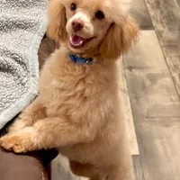 processed/4d561ec1-82f9-4399-80c5-e152d8f9969b/facility/1fdce8cb-ce7e-44b2-a5c2-45e4bd4b437b