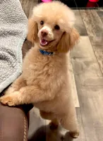 processed/4d561ec1-82f9-4399-80c5-e152d8f9969b/facility/1fdce8cb-ce7e-44b2-a5c2-45e4bd4b437b