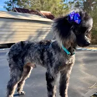 processed/4d561ec1-82f9-4399-80c5-e152d8f9969b/facility/6f121660-1241-48dc-9b90-b60864b129a3