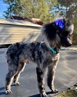 processed/4d561ec1-82f9-4399-80c5-e152d8f9969b/facility/6f121660-1241-48dc-9b90-b60864b129a3