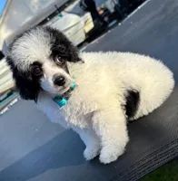 processed/4d561ec1-82f9-4399-80c5-e152d8f9969b/facility/9e3ac917-a2f7-496c-a191-f5fac7e0de01