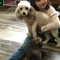 processed/4d561ec1-82f9-4399-80c5-e152d8f9969b/facility/a5a8a327-6aaf-47ee-a087-5da206939064