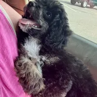 processed/4d561ec1-82f9-4399-80c5-e152d8f9969b/facility/aa3aae39-f18c-476d-aa5c-6a6f471427f0