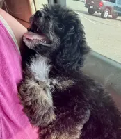 processed/4d561ec1-82f9-4399-80c5-e152d8f9969b/facility/aa3aae39-f18c-476d-aa5c-6a6f471427f0