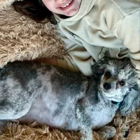 processed/4d561ec1-82f9-4399-80c5-e152d8f9969b/facility/ce9a0136-e50f-4761-93ad-247cced2e223